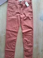 DAMES LANGE BROEK. MAAT 42. NIEUW. ROOD/ROODBRUIN., Kleding | Dames, Spijkerbroeken en Jeans, So Soire, Overige kleuren, Nieuw
