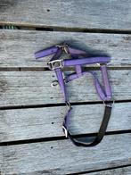Halster pony, Ophalen, Zo goed als nieuw, Overige soorten
