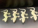 Glow in the dark gekko’s, Dieren en Toebehoren, Reptielen en Amfibieën | Toebehoren, Ophalen of Verzenden, Zo goed als nieuw, Terrarium of Paludarium