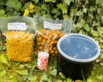 #aanbieding boilies, pellets, wafters, emmertje, Watersport en Boten, Hengelsport | Karpervissen, Ophalen of Verzenden, Nieuw