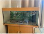 Aquarium Juwel Rio 180, Ophalen, Gebruikt, Leeg aquarium