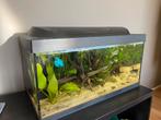 Tetra aquarium 55L, Ophalen, Nieuw, Leeg aquarium