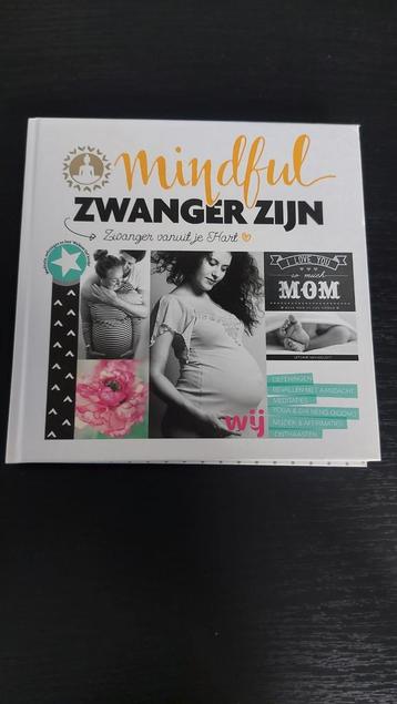 Mindful Zwanger - Bewust je zwangerschap ervaren beschikbaar voor biedingen