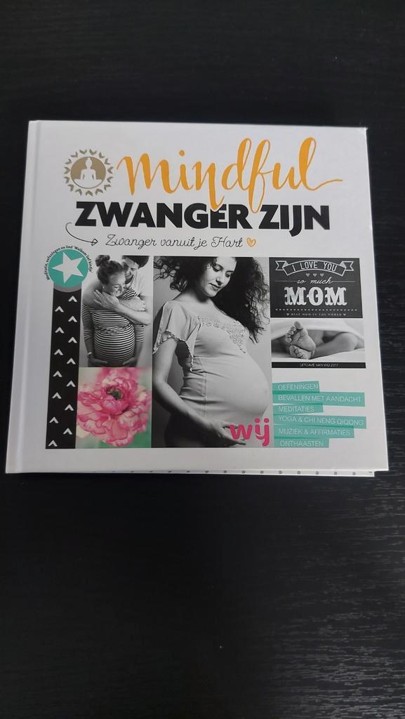 Mindful Zwanger - Bewust je zwangerschap ervaren, Boeken, Zwangerschap en Opvoeding, Zo goed als nieuw, Zwangerschap en Bevalling