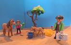 PLAYMOBIL Country Dierenarts Met Pony's – 6949, Ophalen of Verzenden, Gebruikt, Complete set