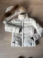 Bogner ski jas M, Verzenden, Gedragen, Maat 38/40 (M), Jack