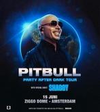 Pitbull Ziggo dome, Tickets en Kaartjes, Concerten | Pop, Eén persoon
