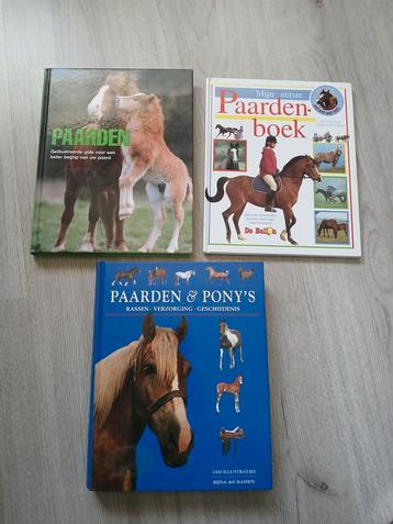Paardenboeken Collectie - Leerzaam en Leuk! beschikbaar voor biedingen