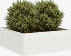 Bloembak plantenbak zonder bodem wit 80x80x30 staal, Ophalen, Zo goed als nieuw, Vierkant