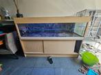 groot aquarium, Dieren en Toebehoren, Ophalen, Gebruikt, Leeg aquarium
