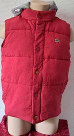 Lacoste kinder bodywarmer maat 128, Kinderen en Baby's, Kinderkleding | Maat 128, Jongen of Meisje, Ophalen of Verzenden, Zo goed als nieuw