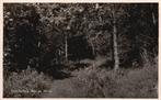 Terschelling Bos en Heide  129712, Verzamelen, Ansichtkaarten | Nederland, Verzenden, 1960 tot 1980, Gelopen, Waddeneilanden