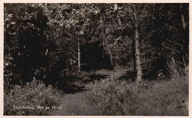 Terschelling Bos en Heide  129712, Verzamelen, Ansichtkaarten | Nederland, Gelopen, Waddeneilanden, 1960 tot 1980, Verzenden