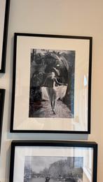 Yellow Korner falix semblant, Ophalen of Verzenden