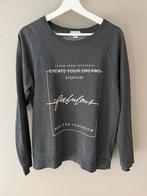 Trui/sweater dames Maat L, Kleding | Dames, Ophalen of Verzenden, Zo goed als nieuw