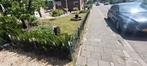 Tuunhek 14 meter lang ongeveer 70 cm hoog, stevig gietijzer, Tuin en Terras, Tuinhekken en Hekwerk, Ophalen of Verzenden, Gebruikt
