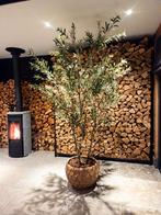 Prachtige Realistische Kunst Olijfboom 1.80m / 2.40m, Huis en Inrichting, Woonaccessoires | Kunstplanten en Kunstbloemen, Ophalen of Verzenden