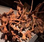 Partij Kienhout / Driftwood / Spiderwood, Hout Decoratie, Ophalen of Verzenden, Nieuw, Plant(en), Steen of Hout
