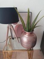 Super mooie grote vaas, Huis en Inrichting, Woonaccessoires | Vazen, Overige kleuren, Ophalen of Verzenden, Minder dan 50 cm, Glas