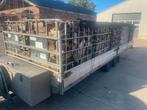 Droog gezaagd sloophout perfect voor vuurkorf & kachel!, 6 m³ of meer, Ophalen of Verzenden, Overige houtsoorten, Blokken
