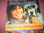 David Cassidy: Daydreamer, Cd's en Dvd's, Vinyl Singles, Ophalen of Verzenden, Zo goed als nieuw, Pop, Single