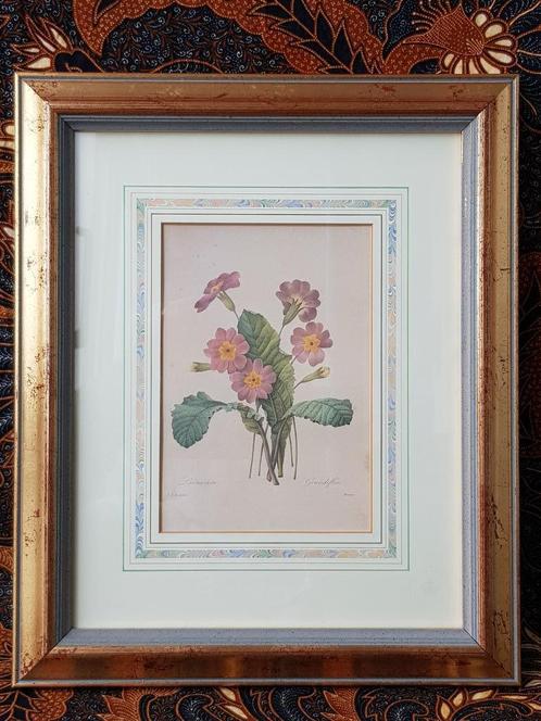 Sleutelbloem mooie ingelijste vintage litho uit Engeland., Antiek en Kunst, Kunst | Litho's en Zeefdrukken, Ophalen of Verzenden