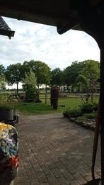 Plek voor een klein weidemaatje geboden