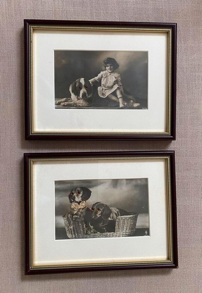 Teckel en Sint Bernard antieke kaart ingelijst, Antiek en Kunst, Antiek | Woonaccessoires, Verzenden