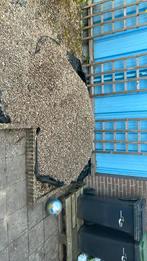 Grinten, Tuin en Terras, Ophalen, Gebruikt, Meer dan 4 meter