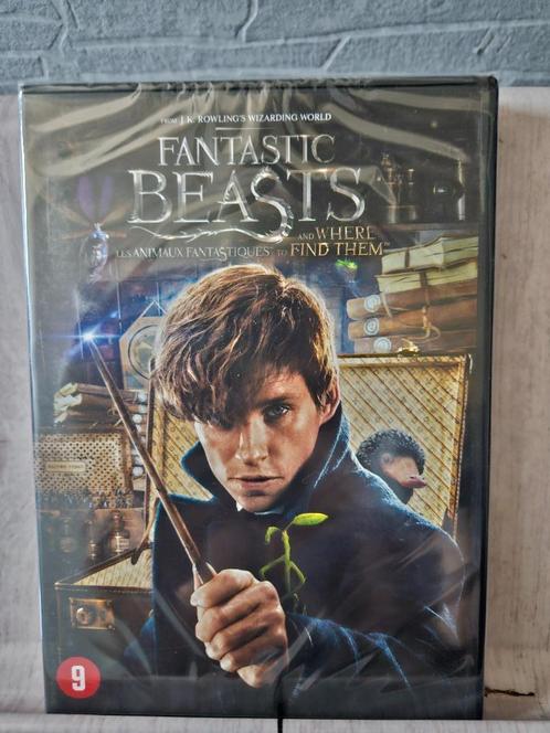 Fantastic Beasts and Where to Find Them (2016) Dvd NIEUW, Cd's en Dvd's, Dvd's | Science Fiction en Fantasy, Nieuw in verpakking