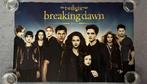 Diverse Twilight posters, Verzamelen, Posters, Ophalen of Verzenden, A1 t/m A3, Zo goed als nieuw