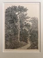 Philip Wiesman - Bospad met dode beuk Ets (1981), Ophalen of Verzenden