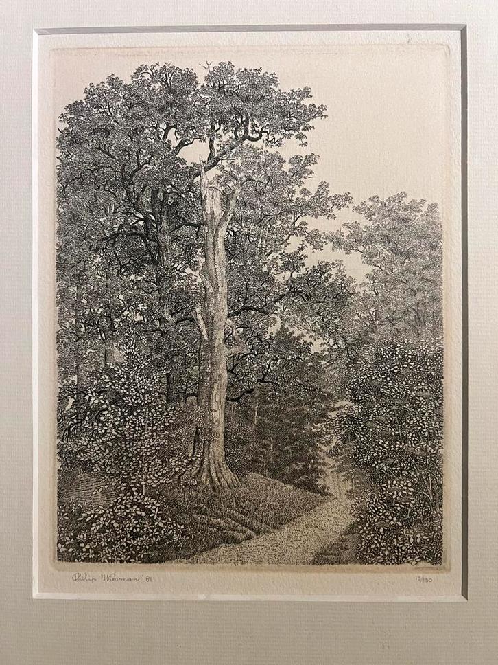 Philip Wiesman - Bospad met dode beuk Ets (1981), Antiek en Kunst, Kunst | Etsen en Gravures, Ophalen of Verzenden
