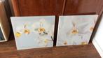 Canvas doek , 2 stuks met orchideeën. Ikea 56 x 56 cm., Overige typen, Ophalen of Verzenden, Zo goed als nieuw, 50 tot 75 cm