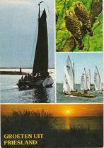 FRIESLAND Zeilen Valken Avond Groeten, Verzenden, 1960 tot 1980, Gelopen, Friesland