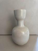 Lifestyle vaas, Ophalen of Verzenden, Zo goed als nieuw, Glas, Minder dan 50 cm