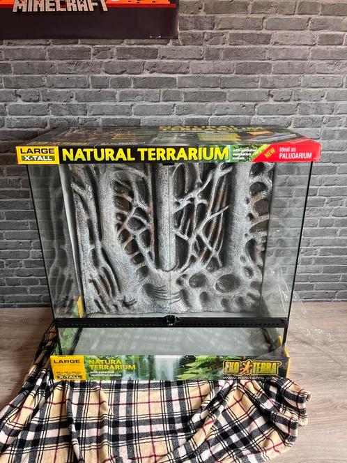 Exo-terra terrarium large, Dieren en Toebehoren, Reptielen en Amfibieën | Toebehoren, Zo goed als nieuw, Terrarium of Paludarium