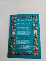 THE STORY OF SHELLS  1975, Ophalen of Verzenden, 1960 tot 1980