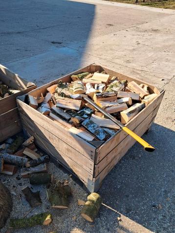 Kachelhout berk beschikbaar voor biedingen