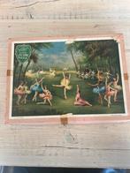 VICTORY Plywood Ballerinas Dancing Forest puzzel, Minder dan 500 stukjes, Ophalen of Verzenden, Legpuzzel