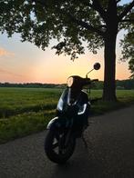 Sym fiddle 3, Ophalen, Gebruikt, Fiddle