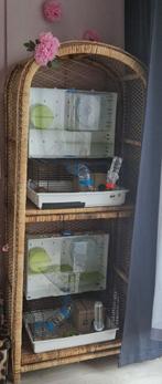 Rotan kast met hamsterkooien, Dieren en Toebehoren, Knaagdieren en Konijnen | Hokken en Kooien, Ophalen, Gebruikt, Hamster