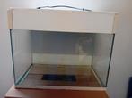 Terrarium 50-30-40 cm, Ophalen, Leeg aquarium