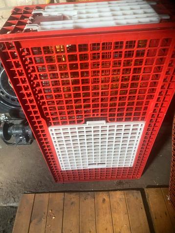 Vervoers kratten kippen 10 euro uitzoeken beschikbaar voor biedingen