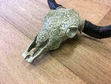 Skulls wit gegraveerd , spanwijdte 40cm ZEER GOEDKOOP beschikbaar voor biedingen