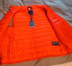 Splinternieuwe Tommy Hilfiger bodywarmer maat M (van 180,-), Kleding | Heren, Bodywarmers, Ophalen of Verzenden, Nieuw, Maat 48/50 (M)