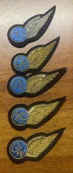 5 Marine Luchtvaart Wings, Verzamelen, Militaria | Algemeen, Nederland, Ophalen of Verzenden, Marine