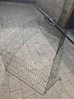 Mooie konijnen ren., Dieren en Toebehoren, Ophalen, 110 cm of meer, 60 tot 90 cm, Zo goed als nieuw