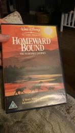 Dvd homeward bound De ongelofelijke reis, Ophalen of Verzenden, Zo goed als nieuw, Avontuur, Film
