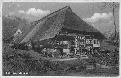(701-398-025) Schwarzwaldhaus, Verzamelen, Ansichtkaarten | Buitenland, Duitsland, Verzenden